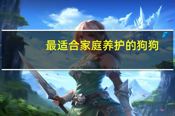最适合家庭养护的狗狗