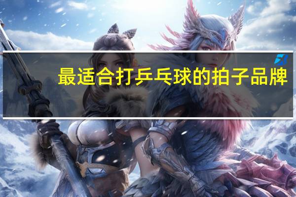 最适合打乒乓球的拍子品牌