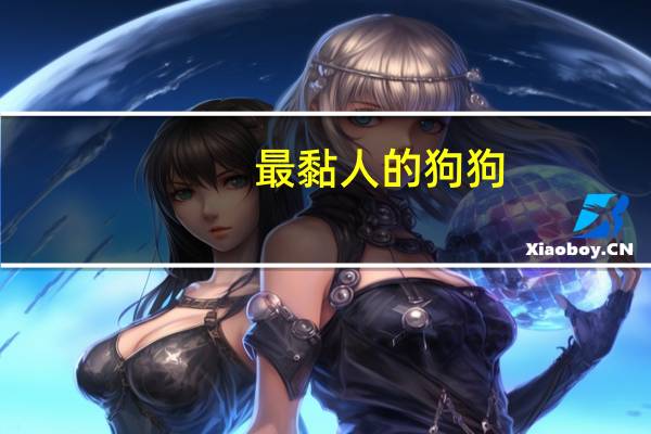 最黏人的狗狗