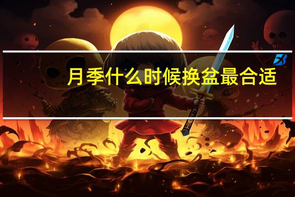 月季什么时候换盆最合适