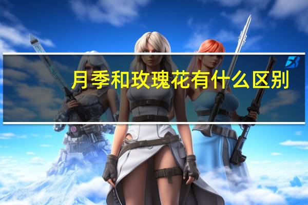 月季和玫瑰花有什么区别