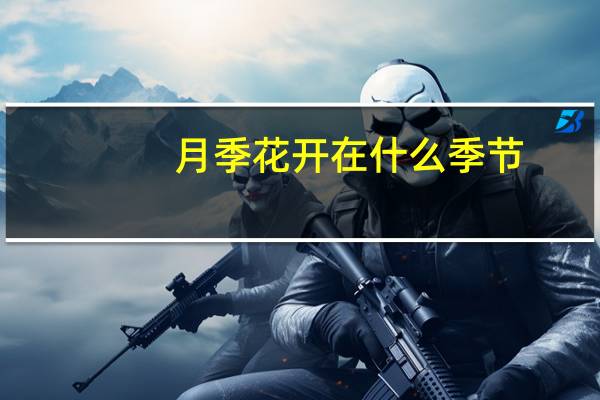 月季花开在什么季节