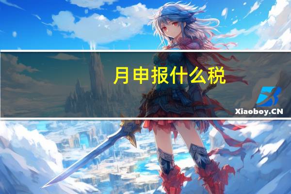 月申报什么税