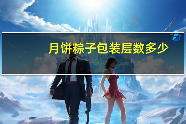 月饼粽子包装层数多少