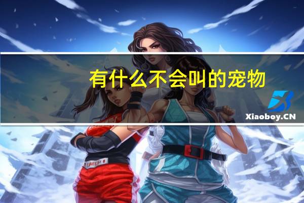 有什么不会叫的宠物