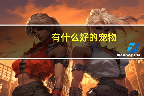 有什么好的宠物