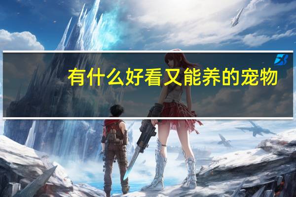 有什么好看又能养的宠物