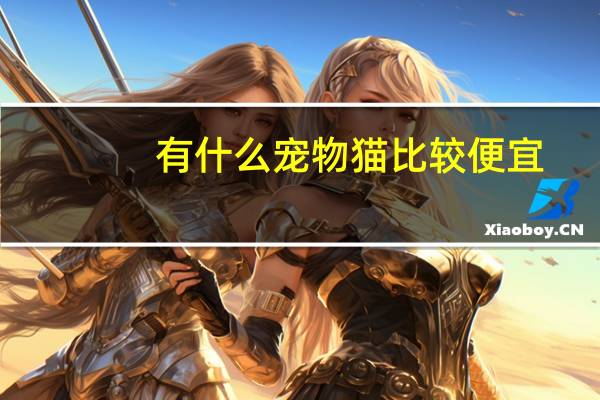 有什么宠物猫比较便宜