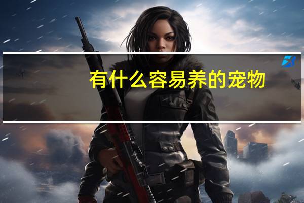有什么容易养的宠物