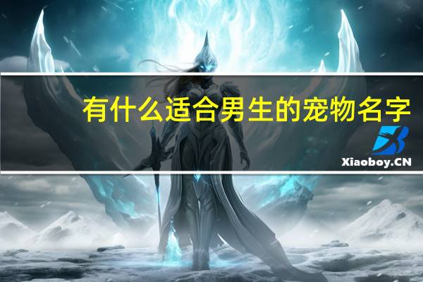 有什么适合男生的宠物名字