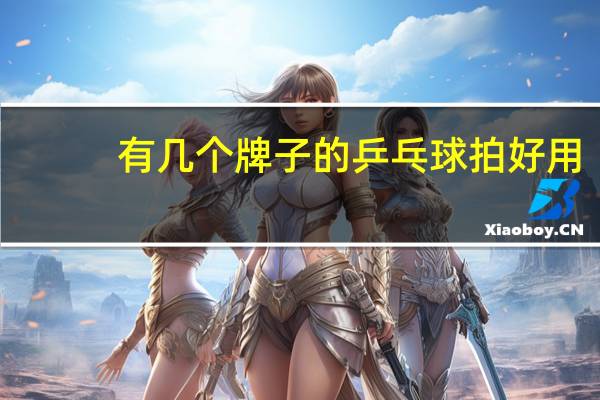 有几个牌子的乒乓球拍好用