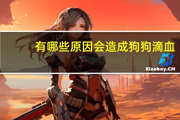 有哪些原因会造成狗狗滴血