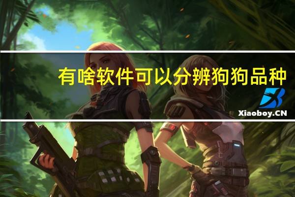 有啥软件可以分辨狗狗品种