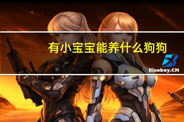 有小宝宝能养什么狗狗