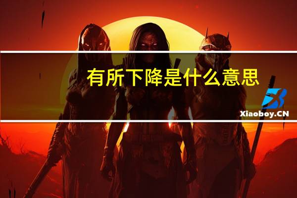 有所下降是什么意思