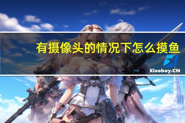 有摄像头的情况下怎么摸鱼
