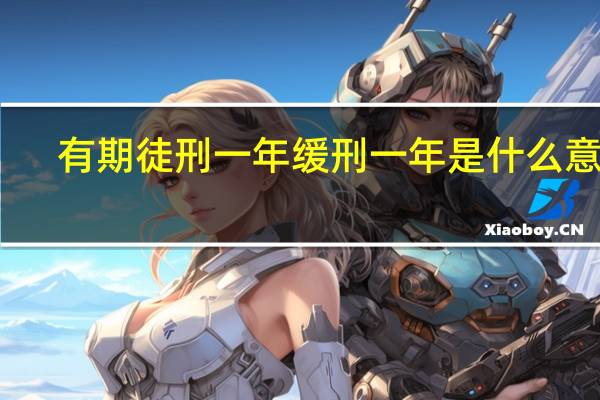 有期徒刑一年缓刑一年是什么意思