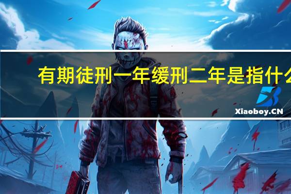 有期徒刑一年缓刑二年是指什么