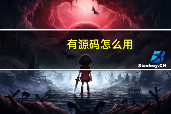 有源码怎么用