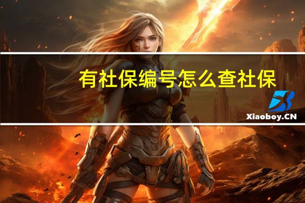 有社保编号怎么查社保