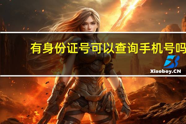 有身份证号可以查询手机号吗