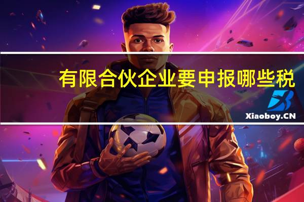 有限合伙企业要申报哪些税