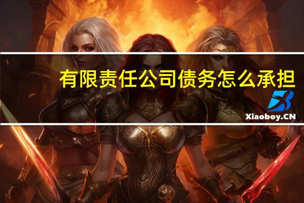 有限责任公司债务怎么承担