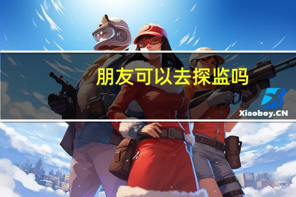 朋友可以去探监吗