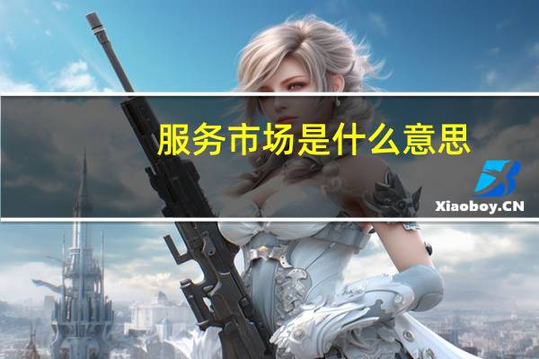 服务市场是什么意思