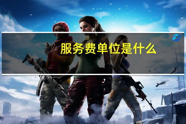 服务费单位是什么