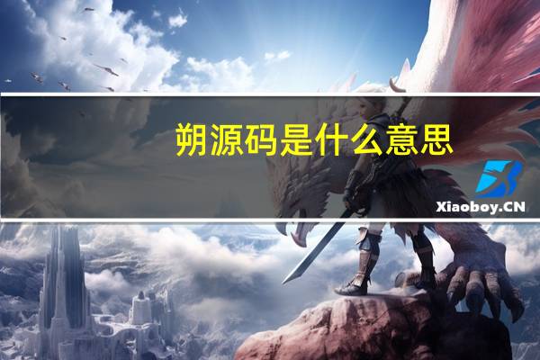 朔源码是什么意思