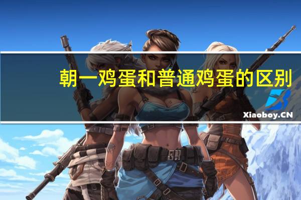 朝一鸡蛋和普通鸡蛋的区别