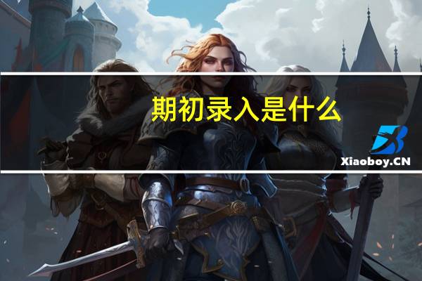 期初录入是什么