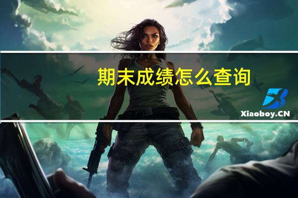 期末成绩怎么查询