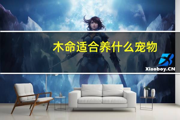木命适合养什么宠物