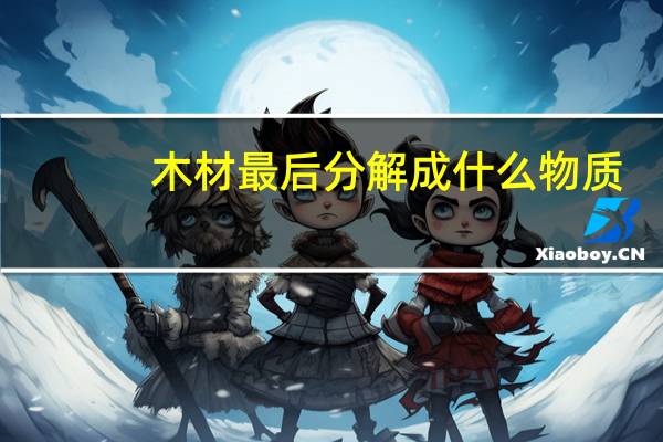 木材最后分解成什么物质