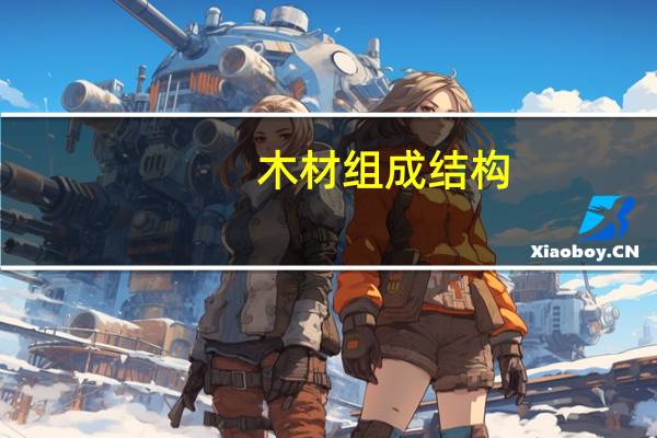 木材组成结构