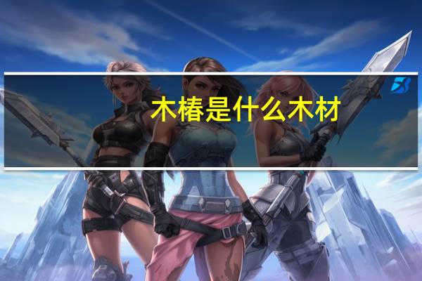 木椿是什么木材