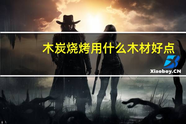 木炭烧烤用什么木材好点