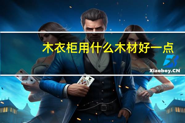 木衣柜用什么木材好一点