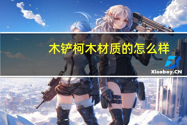 木铲柯木材质的怎么样