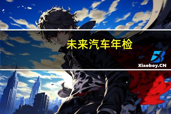 未来汽车年检