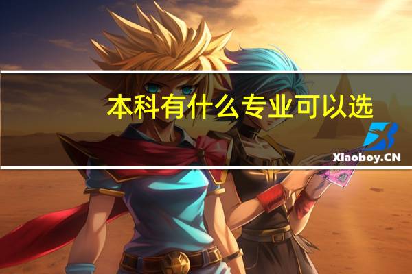 本科有什么专业可以选