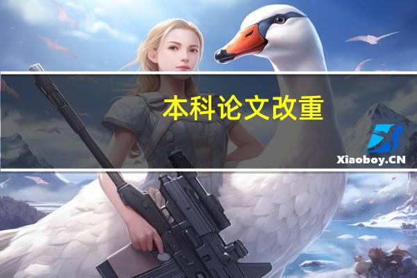 本科论文改重