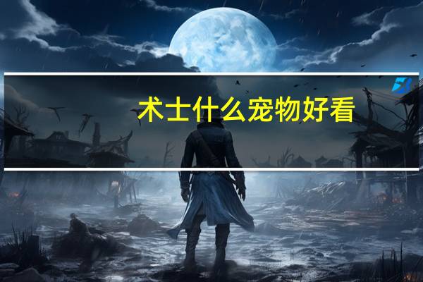 术士什么宠物好看