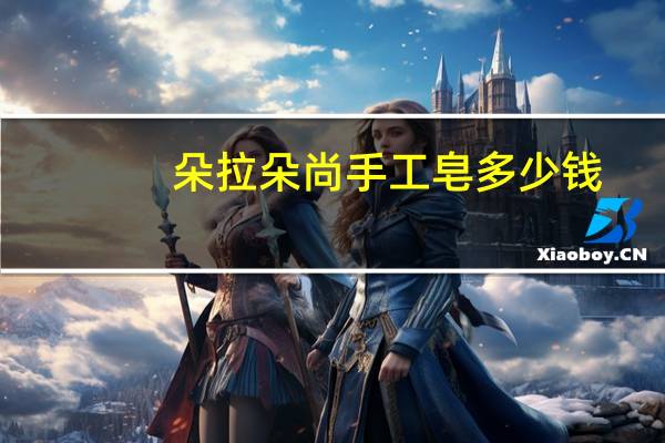 朵拉朵尚手工皂多少钱