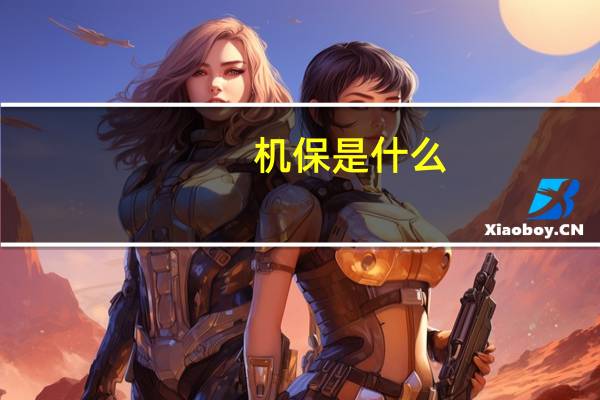 机保是什么