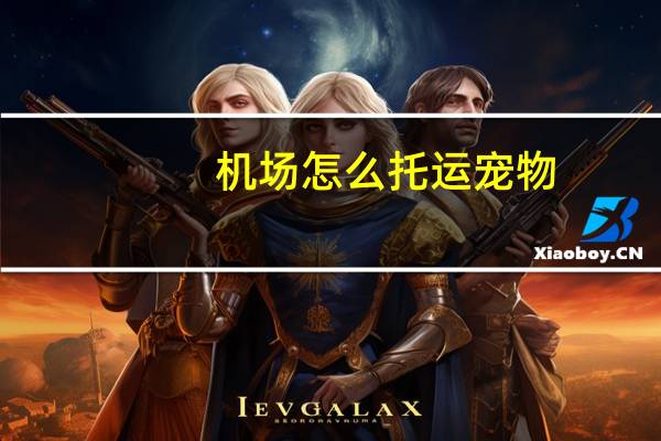 机场怎么托运宠物