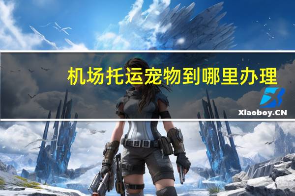 机场托运宠物到哪里办理