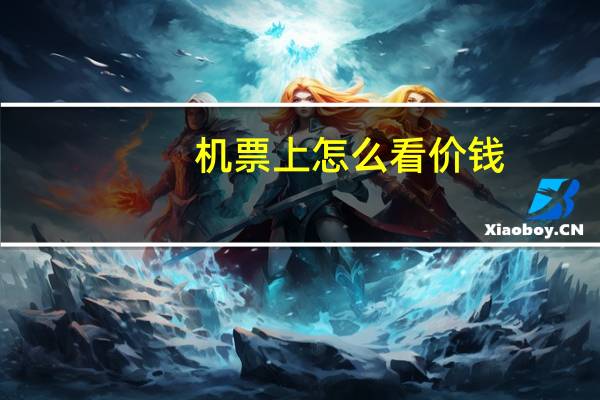 机票上怎么看价钱